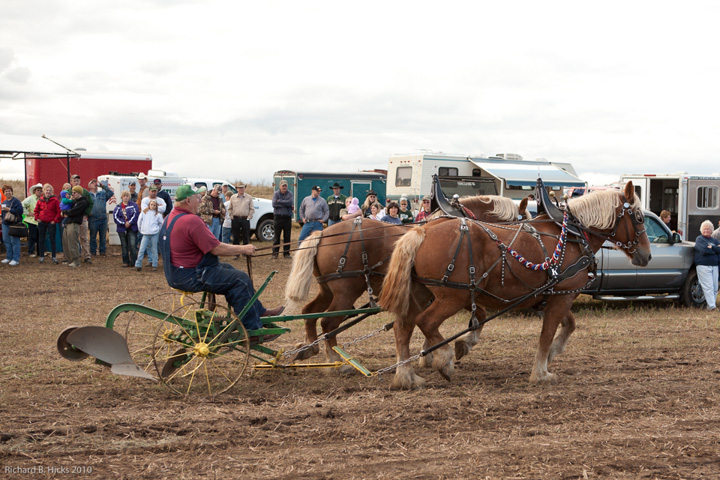 Photo link to 2010 Fall Field Day