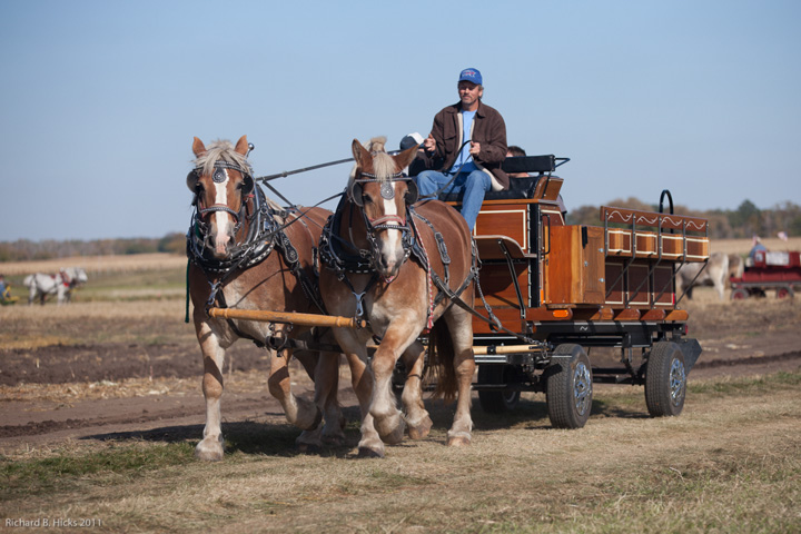 Photo link to 2011 Fall Field Day