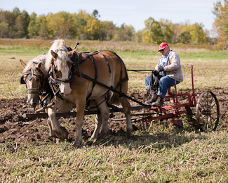 Photo link to 2006 fall field day