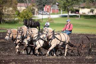 Photo link to to 2007 fall field day