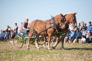 Photo link to 2008 fall field day
