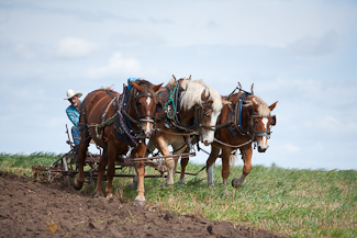 Photo link to 2009 fall field day