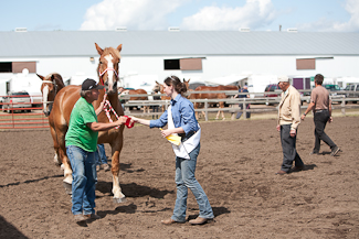Draft Horse Queen handing out ribbon.