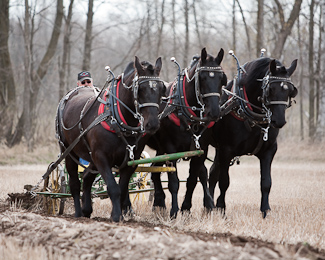 Photo link to 2009 Spring Plow Day